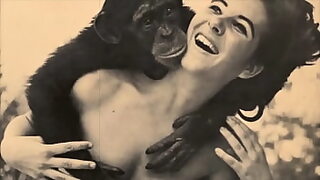 animals sex girl videos movie